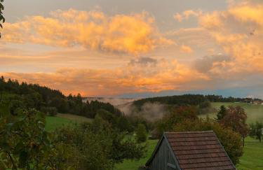 Gemütliches Doppelzimmer mit Balkon und Saunaoption Nordschwarzwald - Foto 21
