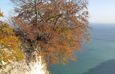 Ferienwohnung Milow - Foto 29