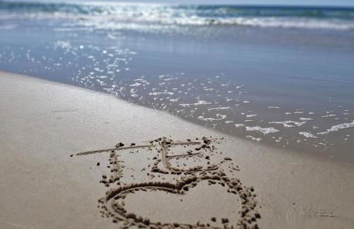 LINDO Apto beira mar praia Ingleses - Photo 2