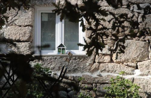 Bosque dos Amieiros - Foto 59