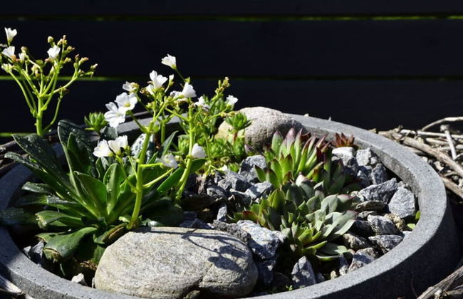 Holiday Apartment Hohe Stein - Foto 28