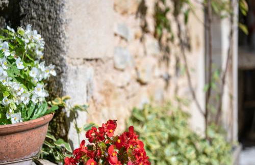 Cosy holiday home with garden - Foto 31