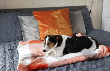 The Den - Modern cabin with wood burning stove - Foto 18