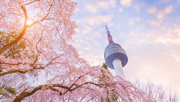 Entrada a la Torre de Seúl - Foto 4