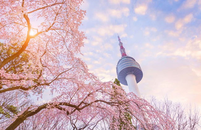 Biglietti per la Seoul Tower - Foto 4