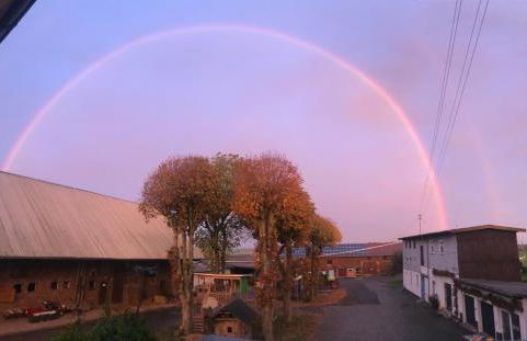 Ferienwohnung auf dem Bauernhof in Hachenburg Hof Kleeberg I Man kann ein Appartment mit Bad zubuchen - Foto 14
