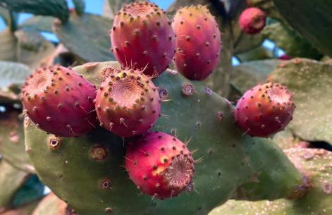 Casa Ruris - Country residence - Foto 13