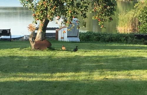 Forsthaus am See Lychen - Photo 6