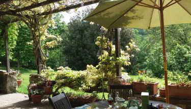 Podere Pian di Cava - Foto 5, Garden view