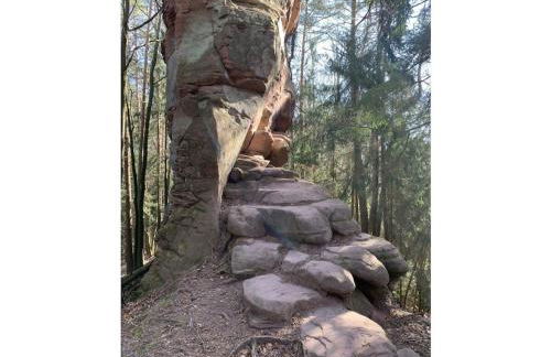 Haus am Kirchberg in Vita Garden - Foto 29