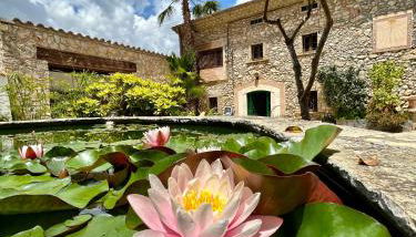 Casa Montserrat Ruralvilla - Foto 3, Garden, Garden view