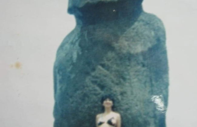 Charming House Meherio Easter Island - Foto 9