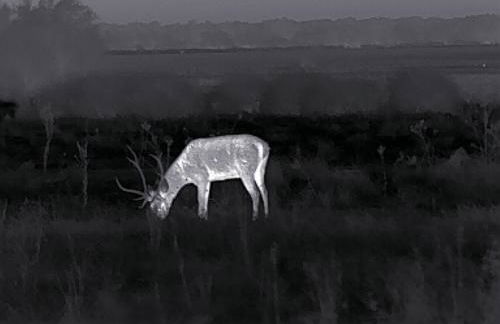 Casa SYANOA, playas de Doñana - Foto 25