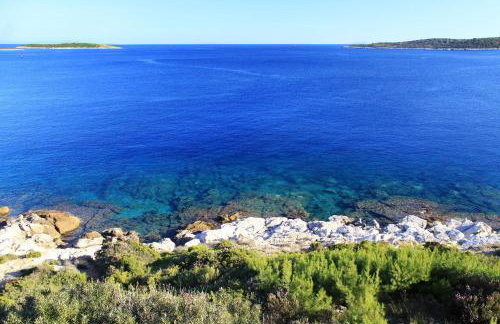 Apartments by the sea Milna, Vis - 8917 - Photo 4