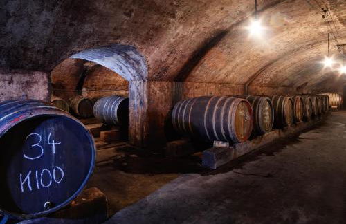 Ferienwohnungen Dr Wagner - Photo 30