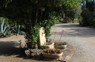 Mas des Oliviers - Foto 15