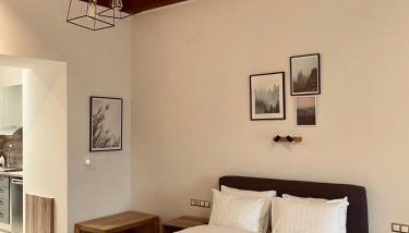 11 Luxury Apartments Metsovo - Foto 1