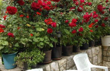 Apartments Anica - Foto 43