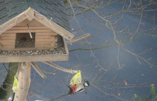 Apartment FeWo Panorama by Interhome - Foto 47