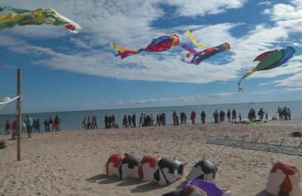 Janislove34 Maison 1 Chambre avec accès piscine dans résidence à Palavas les flots - Foto 35