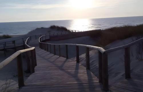 T2 Moliceiros Torreira vista Ria - Foto 32