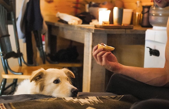 Station Chêne Rouge - Foto 35