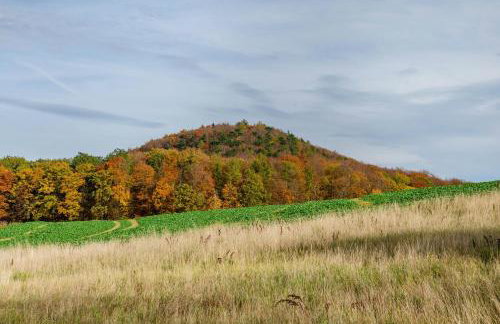 Gästezimmer für 3 Personen - Foto 31