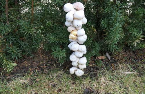 Ferienwohnung Schneckenhaus - Foto 21