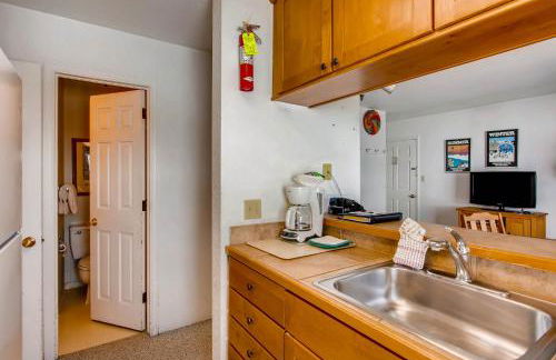 View Of Mt Crested Butte- 1 Br Condo - Foto 9