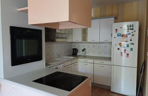 Appartement hyper-centre Issoire - Foto 7