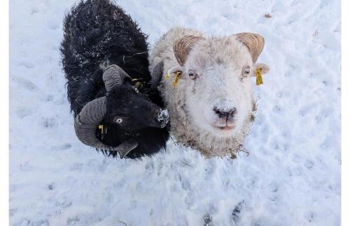Ferienwohnung - De Deelstuuv - Foto 23