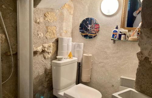 La Maison Bleue de Husseau Ancienne ferme semi-troglodytique 18e siècle - Foto 35