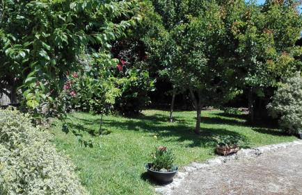 Quinta da Mata - Foto 19