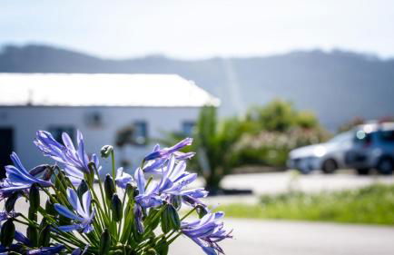 Apartamentos Turísticos A Galera - Ribadeo - Foto 25