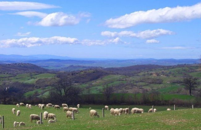 Agriturismo I Lapi - Foto 55