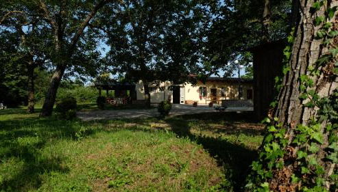 Polani - Il Noceto - Foto 5, Garden