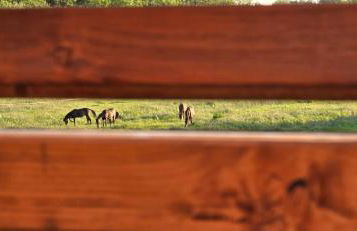 Ferienwohnung Fischers Fritze - Foto 22
