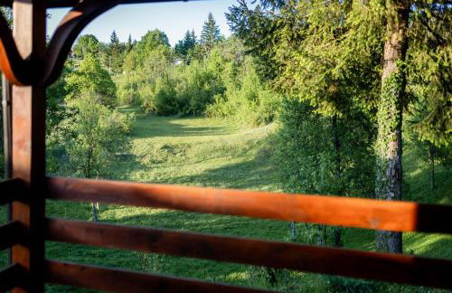 Apartman Milka - Foto 24