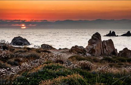 Agriturismo Lu Colbu - Foto 13