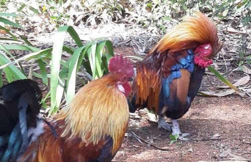 Estoril BeachFront Balcony apartment - Foto 70