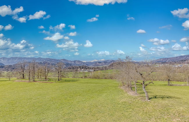 Bled Lake Apartment Green - Foto 34