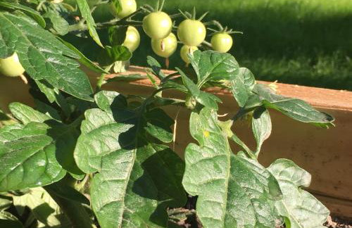 Domek na wsi Mokosz - Photo 33