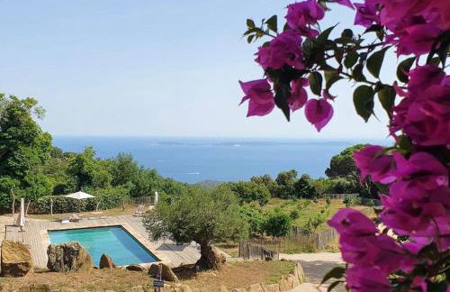 Relais du vieux sauvaire - Foto 38