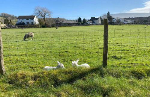 Sawley in the Forest of Bowland - cosy cottage. - Foto 15