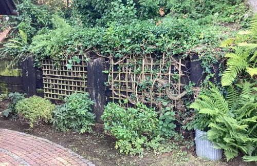 Chalet Spessart - Foto 10