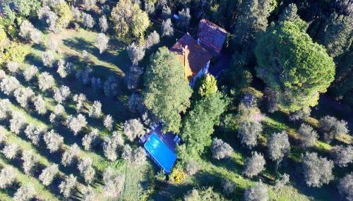 Vino, Views and Relaxing Stay - Foto 2