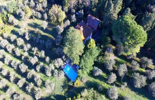 Vino, Views and Relaxing Stay - Foto 1