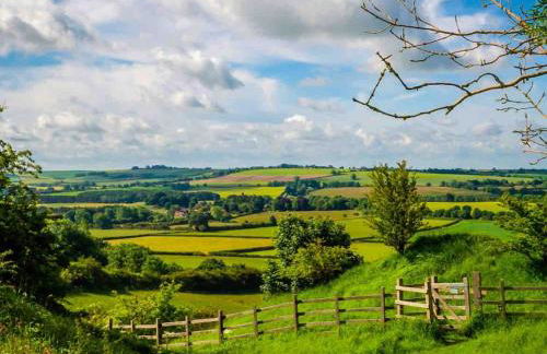 Auctioneers Cottage - Foto 35