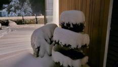 Dom w Czerwonej Dolinie Haus im Roten Tal Seidorf Sosnówka` - Foto 5