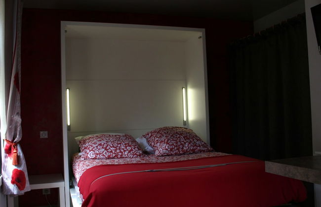 Les Hellebores - Foto 18